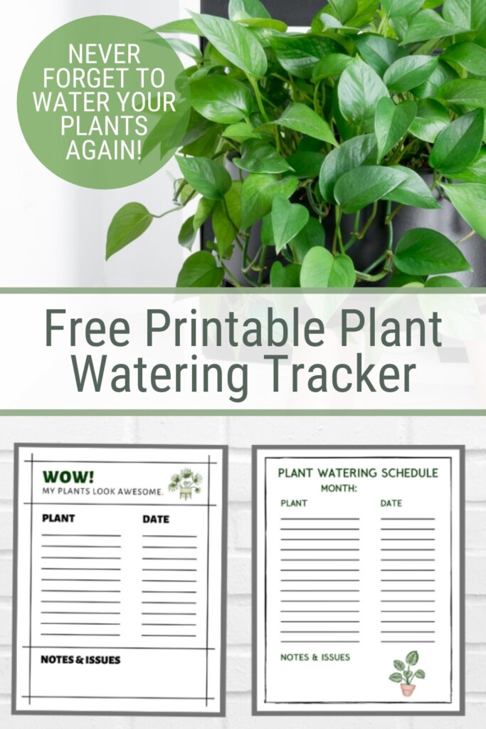 3 Free Printable Plant Watering Trackers Houseplant Watering Schedule 