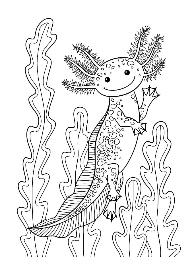 Axolotl Coloring Pages Free Printable Coloring Pages For Kids