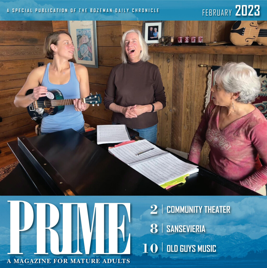 Daily Chronicle For Seniors 2023 Printable