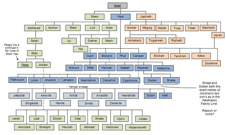 Family Trees Bible Genealogy Family Tree Bible Old Testament