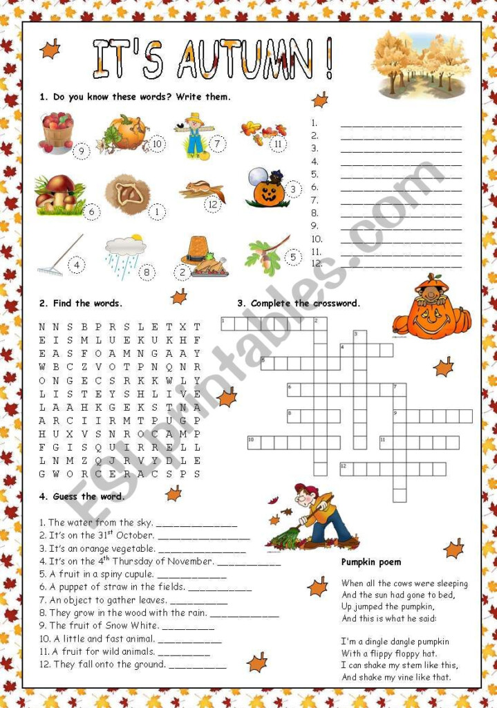 Free Fall Worksheet Pdf