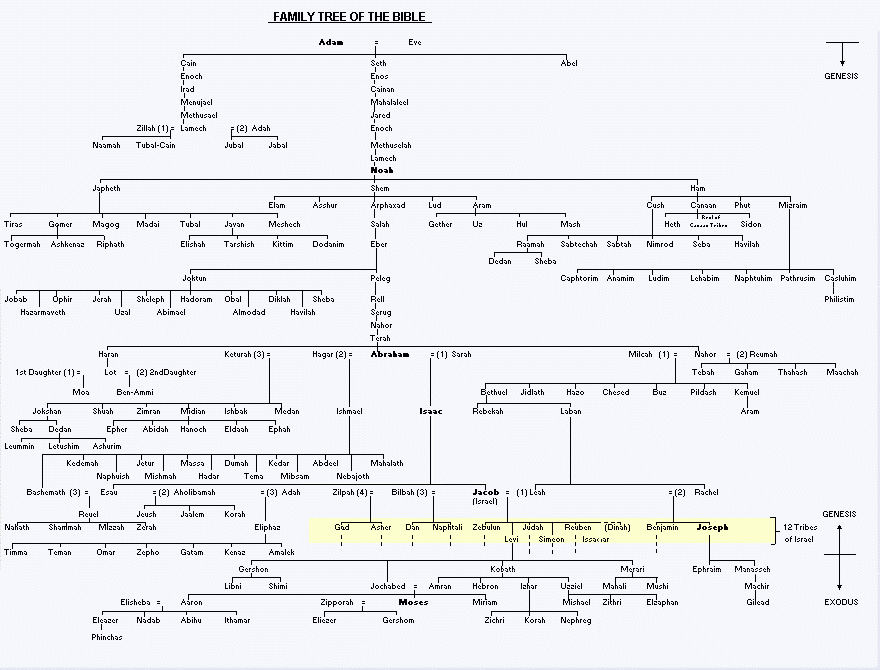 Free Printable Biblical Family Tree Printable Sight Words List