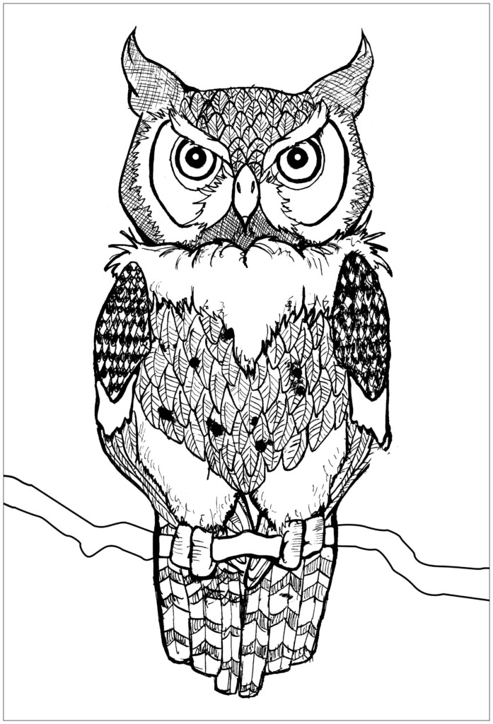 Free Printable Owl Coloring Pages