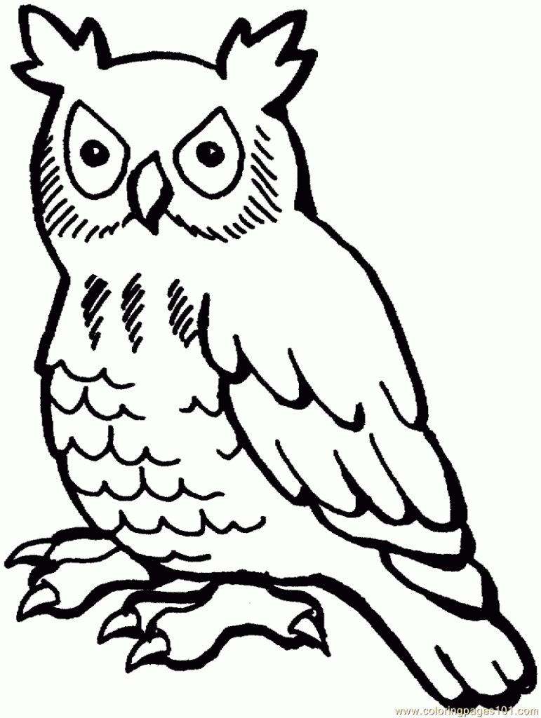 Free Printable Owl Coloring Pages For Kids