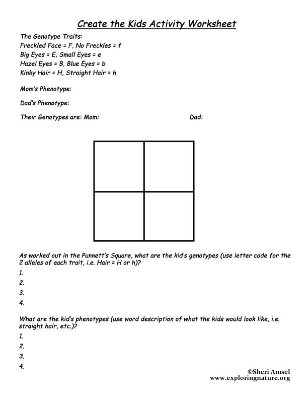Free Printable Punnett Square Worksheet