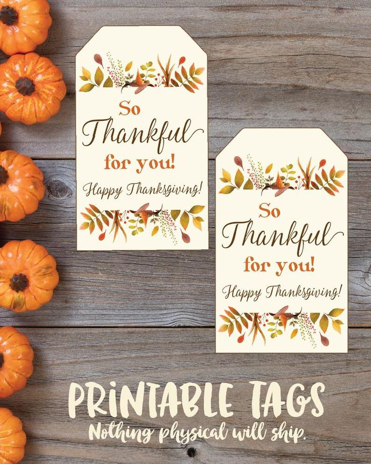 Free Thanksgiving Printable Gift Tags Printable Templates Protal