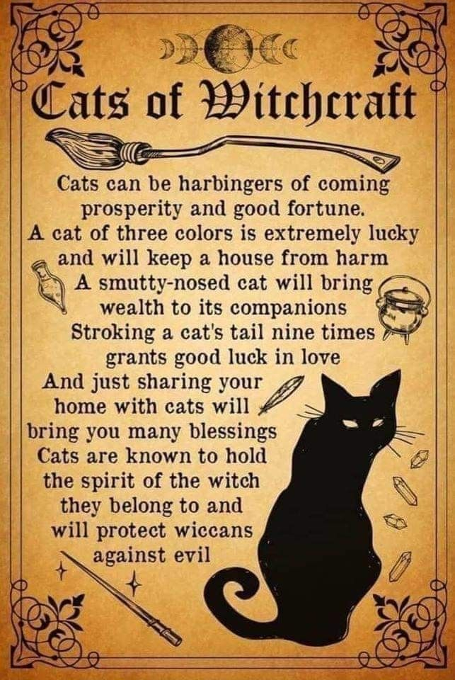 Pin By Charlene Ferraro On Magic Wiccan Magic Witch Spell Book 