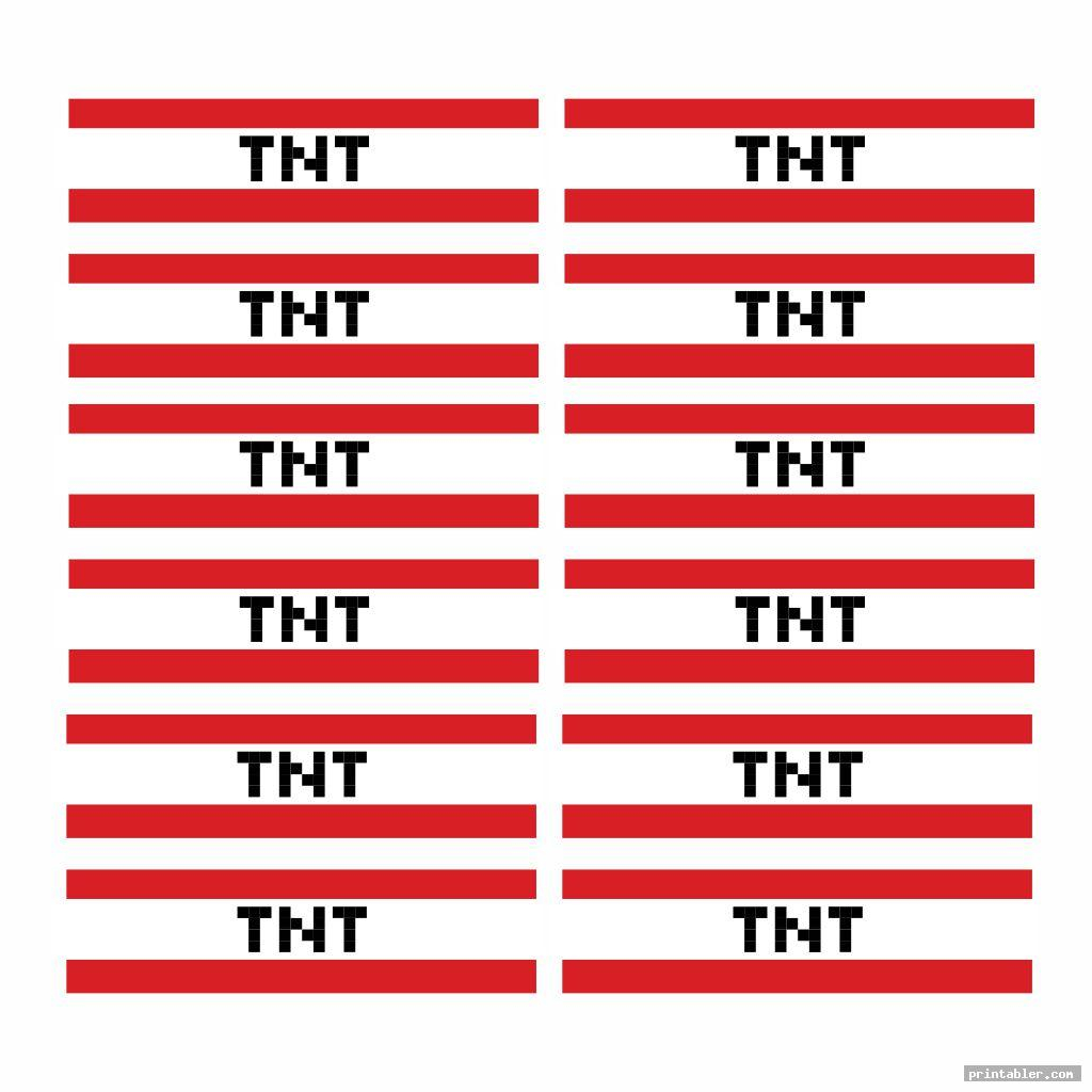 TNT Minecraft Party Printables Gridgit