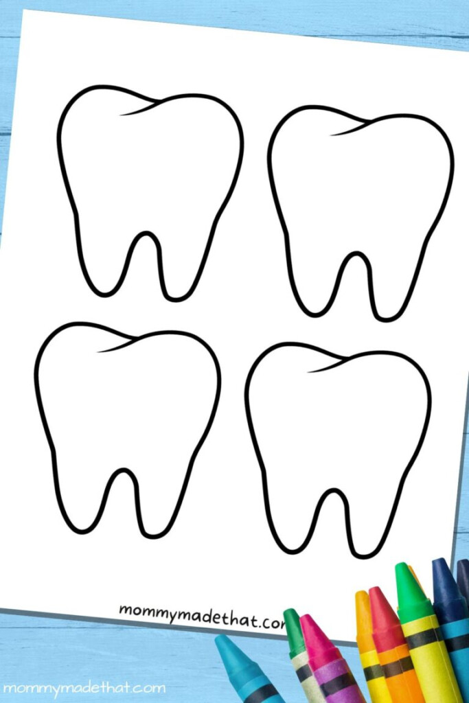 Tooth Templates Free Printable Outlines Fillable Form 2025